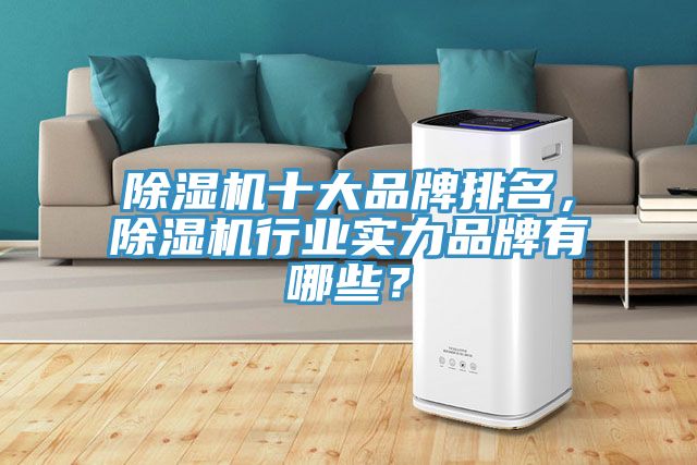 除濕機(jī)十大品牌排名，除濕機(jī)行業(yè)實(shí)力品牌有哪些？