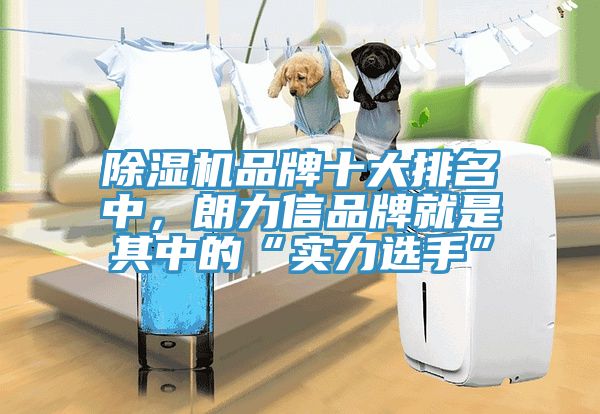 除濕機(jī)品牌十大排名中，朗力信品牌就是其中的“實(shí)力選手”