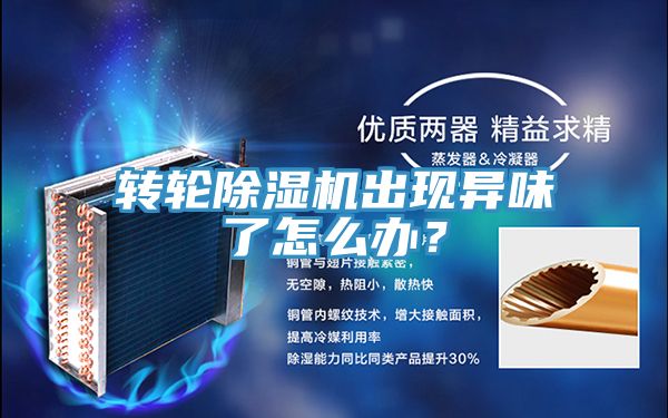 轉(zhuǎn)輪除濕機(jī)出現(xiàn)異味了怎么辦？
