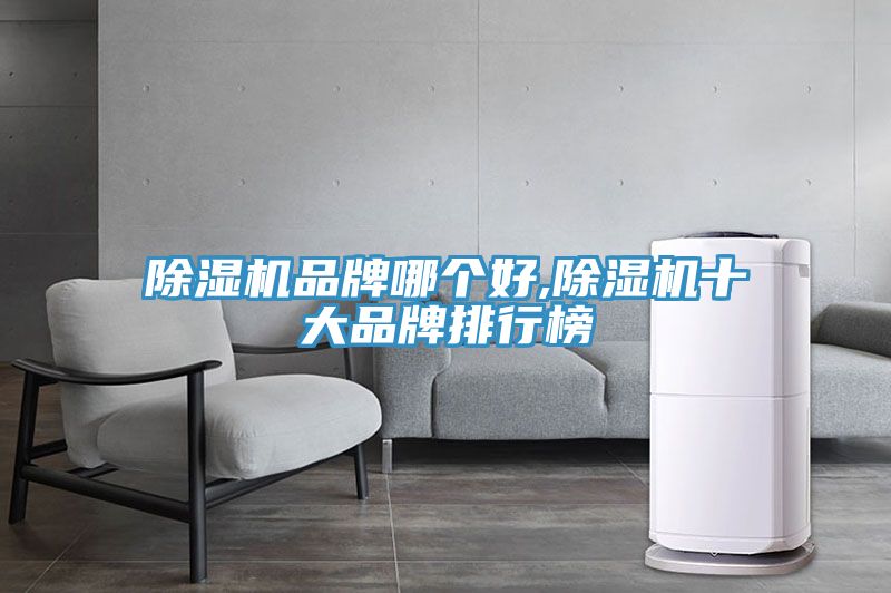除濕機(jī)品牌哪個(gè)好,除濕機(jī)十大品牌排行榜