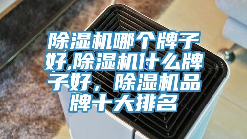 除濕機哪個牌子好,除濕機什么牌子好，除濕機品牌十大排名