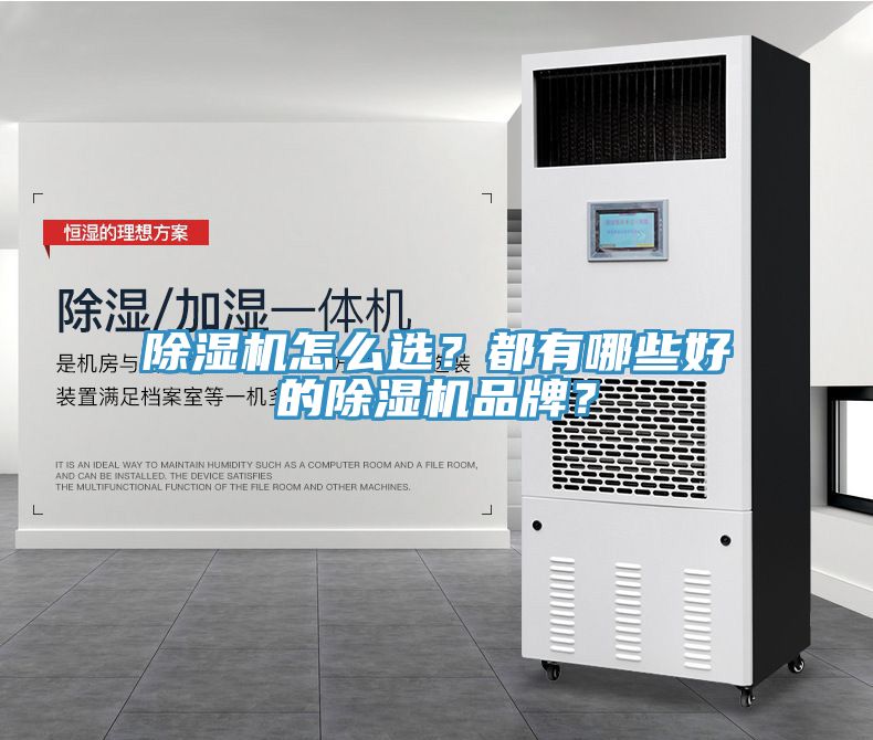 除濕機怎么選？都有哪些好的除濕機品牌？