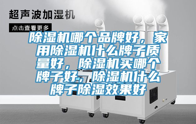 除濕機(jī)哪個(gè)品牌好，家用除濕機(jī)什么牌子質(zhì)量好，除濕機(jī)買哪個(gè)牌子好，除濕機(jī)什么牌子除濕效果好