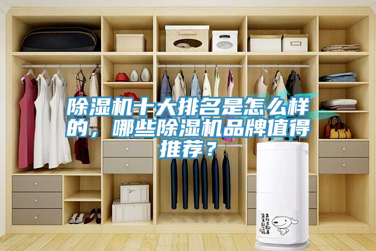 除濕機十大排名是怎么樣的，哪些除濕機品牌值得推薦？