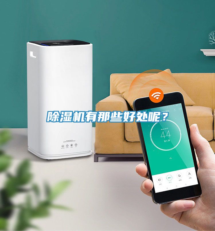 除濕機有那些好處呢？