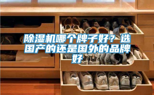 除濕機哪個牌子好？選國產(chǎn)的還是國外的品牌好
