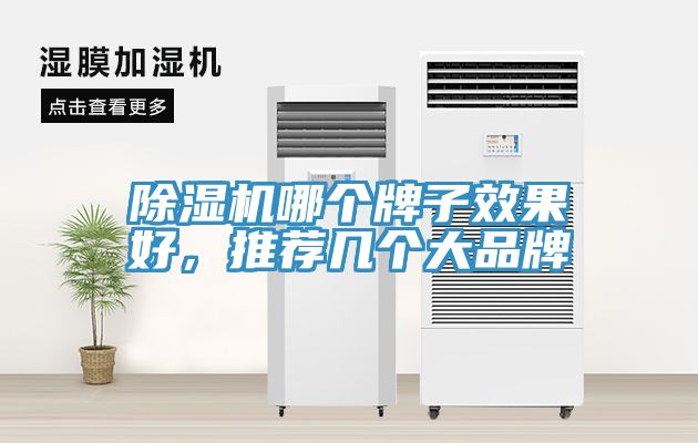 除濕機(jī)哪個牌子效果好，推薦幾個大品牌