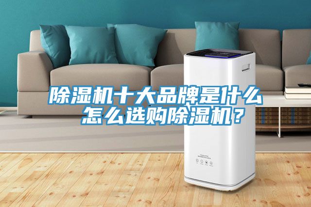 除濕機(jī)十大品牌是什么 怎么選購(gòu)除濕機(jī)？