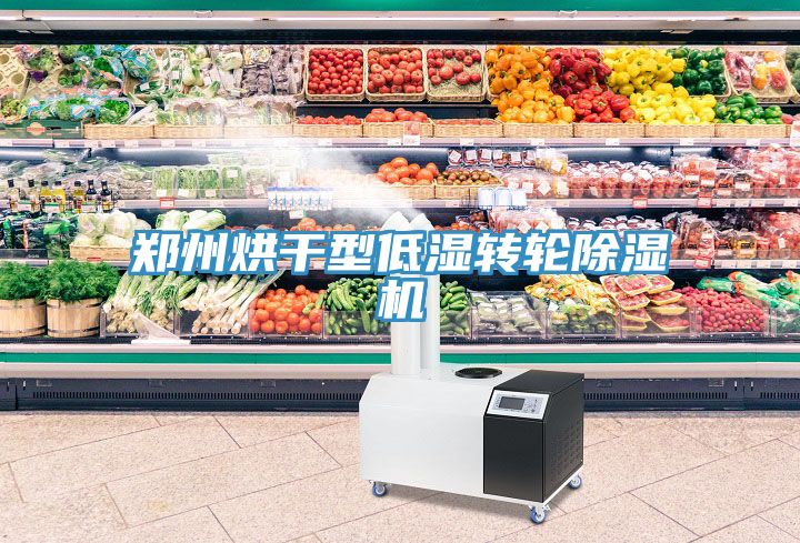 鄭州烘干型低濕轉(zhuǎn)輪除濕機