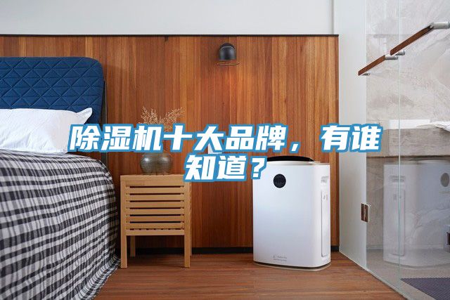 除濕機(jī)十大品牌，有誰知道？