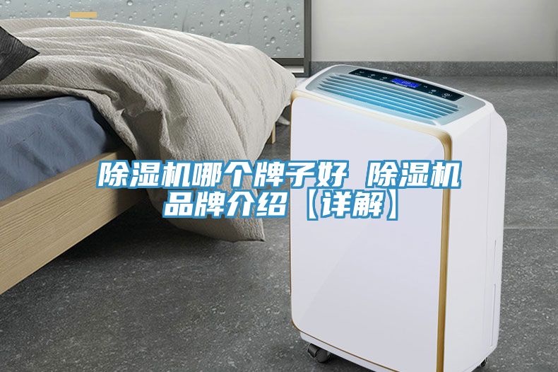 除濕機(jī)哪個(gè)牌子好 除濕機(jī)品牌介紹【詳解】