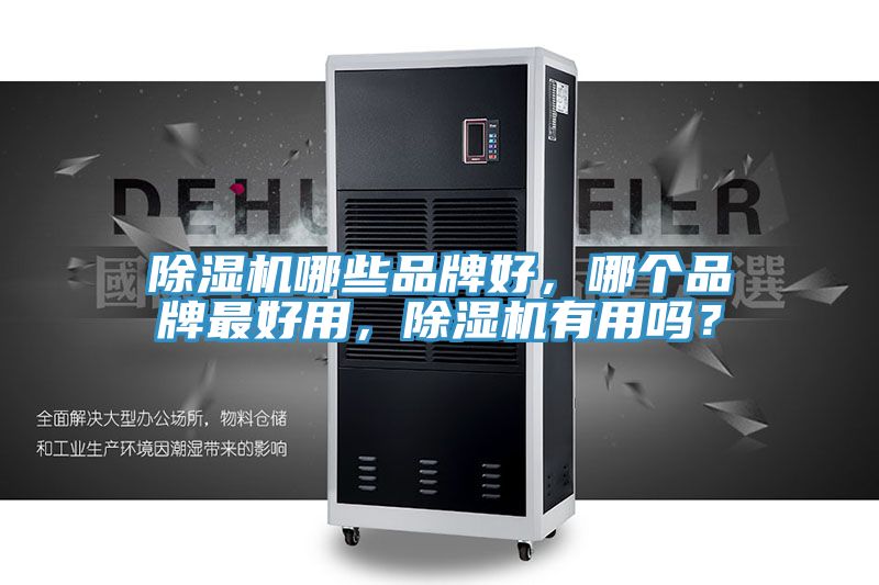 除濕機哪些品牌好，哪個品牌最好用，除濕機有用嗎？