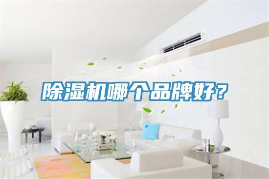 除濕機(jī)哪個(gè)品牌好？