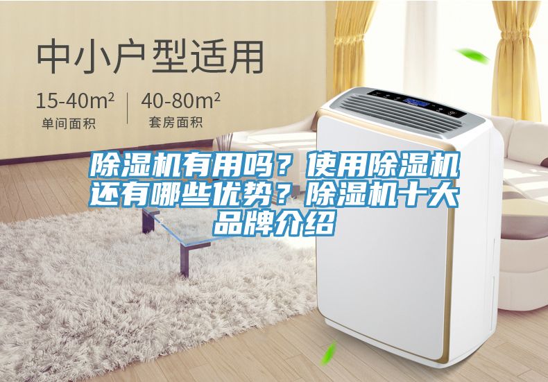 除濕機(jī)有用嗎？使用除濕機(jī)還有哪些優(yōu)勢？除濕機(jī)十大品牌介紹