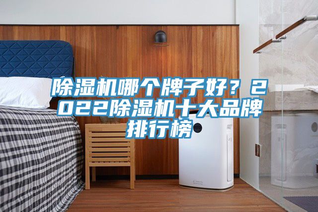 除濕機(jī)哪個(gè)牌子好？2022除濕機(jī)十大品牌排行榜