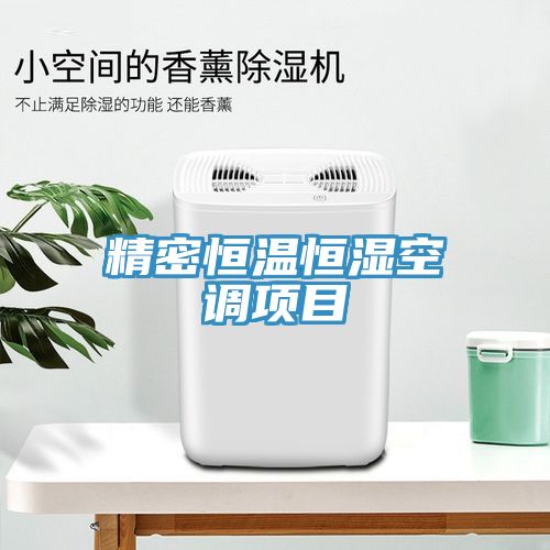 精密恒溫恒濕空調(diào)項目