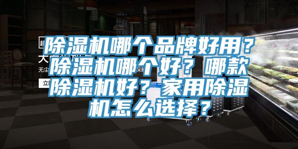 除濕機哪個品牌好用？除濕機哪個好？哪款除濕機好？家用除濕機怎么選擇？