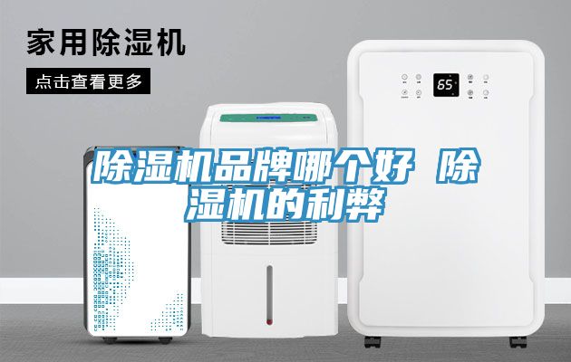 除濕機(jī)品牌哪個(gè)好 除濕機(jī)的利弊