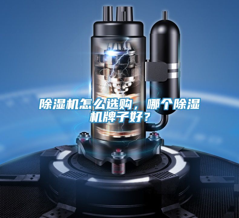 除濕機怎么選購，哪個除濕機牌子好？