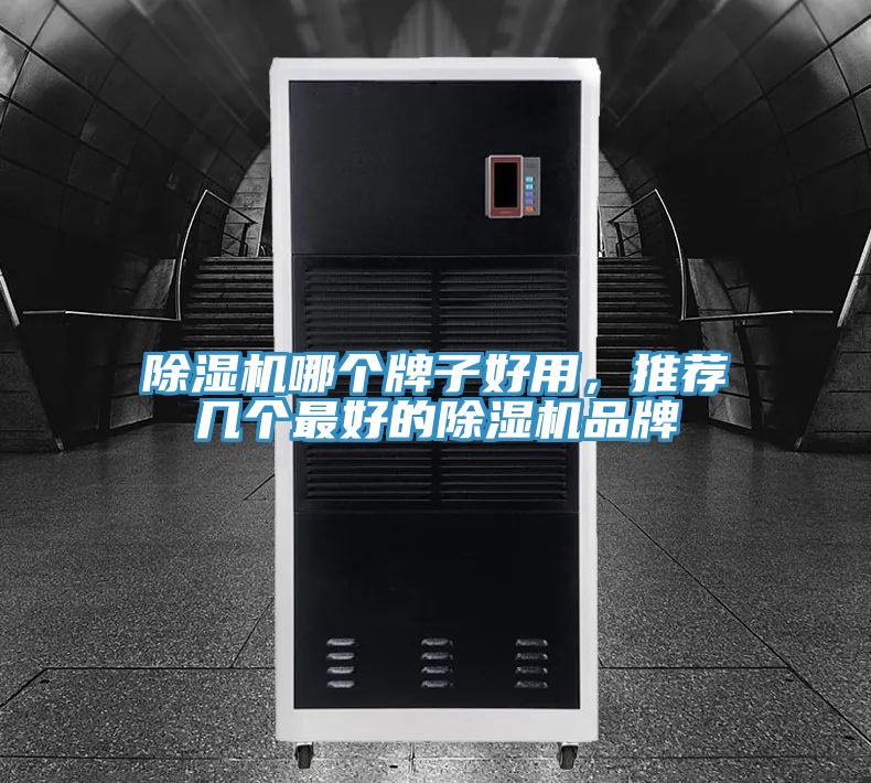 除濕機(jī)哪個(gè)牌子好用，推薦幾個(gè)最好的除濕機(jī)品牌