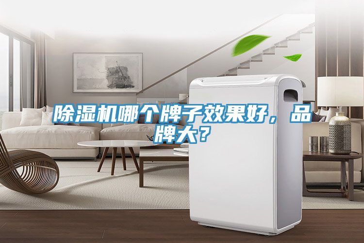 除濕機(jī)哪個牌子效果好，品牌大？
