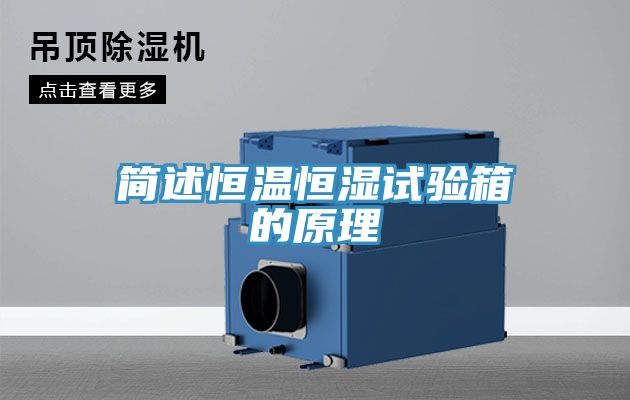 簡(jiǎn)述恒溫恒濕試驗(yàn)箱的原理
