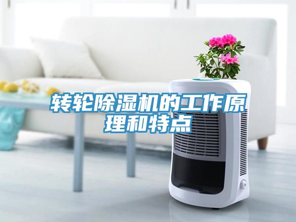 轉(zhuǎn)輪除濕機的工作原理和特點