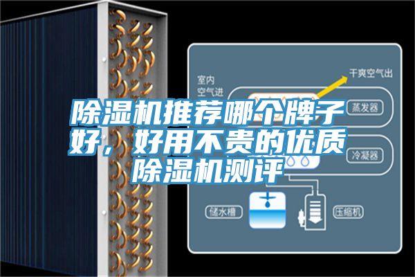 除濕機推薦哪個牌子好，好用不貴的優(yōu)質(zhì)除濕機測評