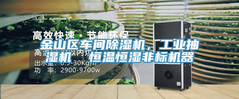 金山區(qū)車間除濕機，工業(yè)抽濕機  恒溫恒濕非標機器