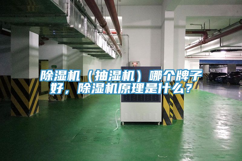 除濕機(jī)（抽濕機(jī)）哪個(gè)牌子好，除濕機(jī)原理是什么？