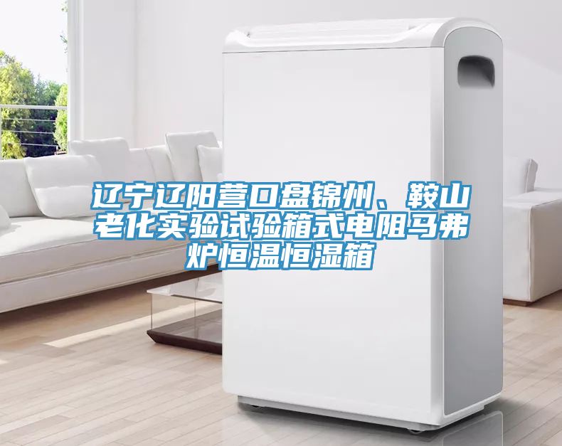 遼寧遼陽(yáng)營(yíng)口盤錦州、鞍山老化實(shí)驗(yàn)試驗(yàn)箱式電阻馬弗爐恒溫恒濕箱