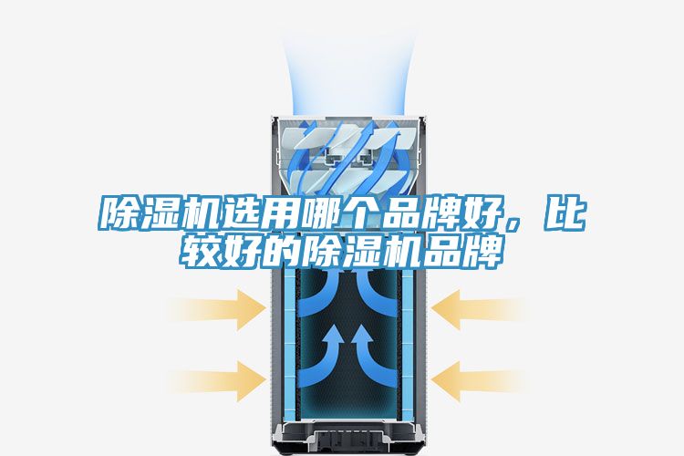 除濕機選用哪個品牌好，比較好的除濕機品牌