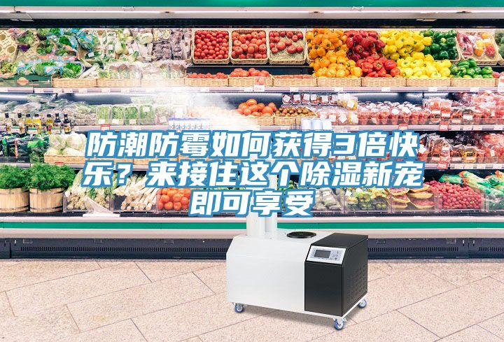 防潮防霉如何獲得3倍快樂？來接住這個除濕新寵即可享受