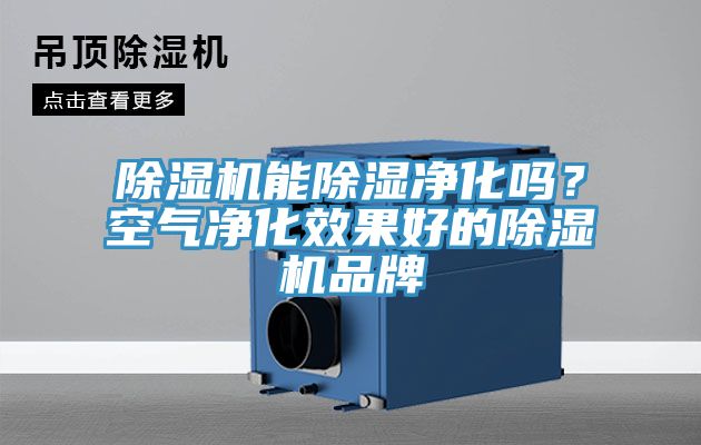 除濕機(jī)能除濕凈化嗎？空氣凈化效果好的除濕機(jī)品牌