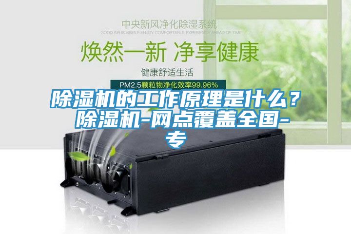 除濕機(jī)的工作原理是什么？ 除濕機(jī)-網(wǎng)點(diǎn)覆蓋全國(guó)-專(zhuān)