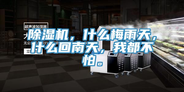 除濕機，什么梅雨天，什么回南天，我都不怕。