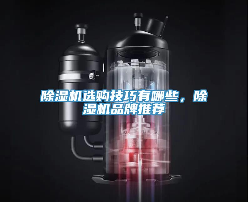 除濕機(jī)選購(gòu)技巧有哪些，除濕機(jī)品牌推薦