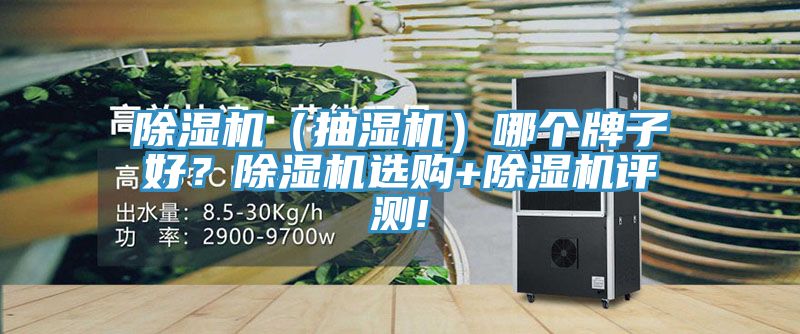 除濕機(jī)（抽濕機(jī)）哪個(gè)牌子好？除濕機(jī)選購+除濕機(jī)評測!