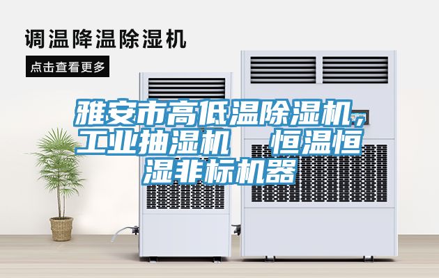 雅安市高低溫除濕機(jī),工業(yè)抽濕機(jī) 恒溫恒濕非標(biāo)機(jī)器