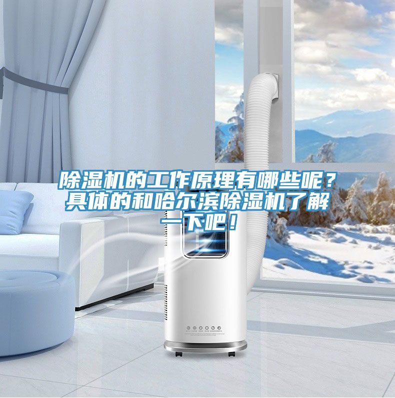 除濕機(jī)的工作原理有哪些呢？具體的和哈爾濱除濕機(jī)了解一下吧！