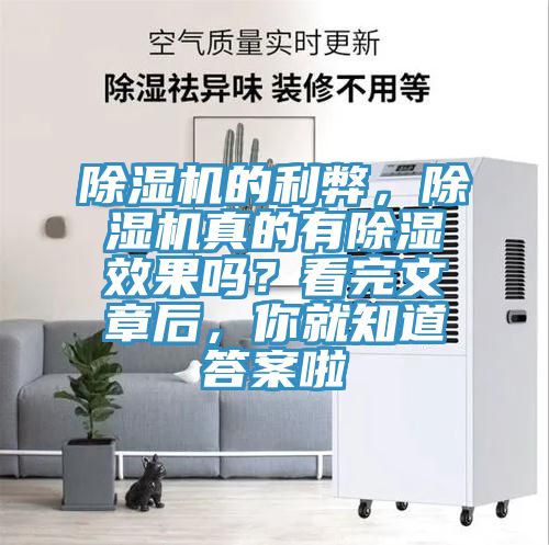 除濕機的利弊，除濕機真的有除濕效果嗎？看完文章后，你就知道答案啦