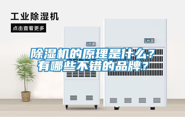 除濕機(jī)的原理是什么？有哪些不錯(cuò)的品牌？