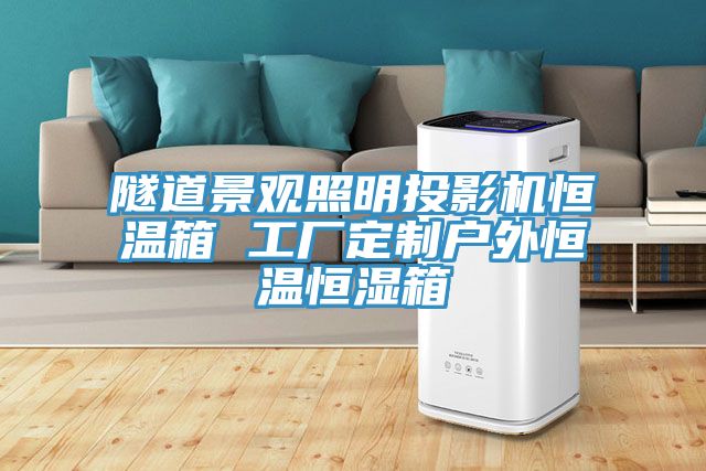 隧道景觀(guān)照明投影機(jī)恒溫箱 工廠(chǎng)定制戶(hù)外恒溫恒濕箱