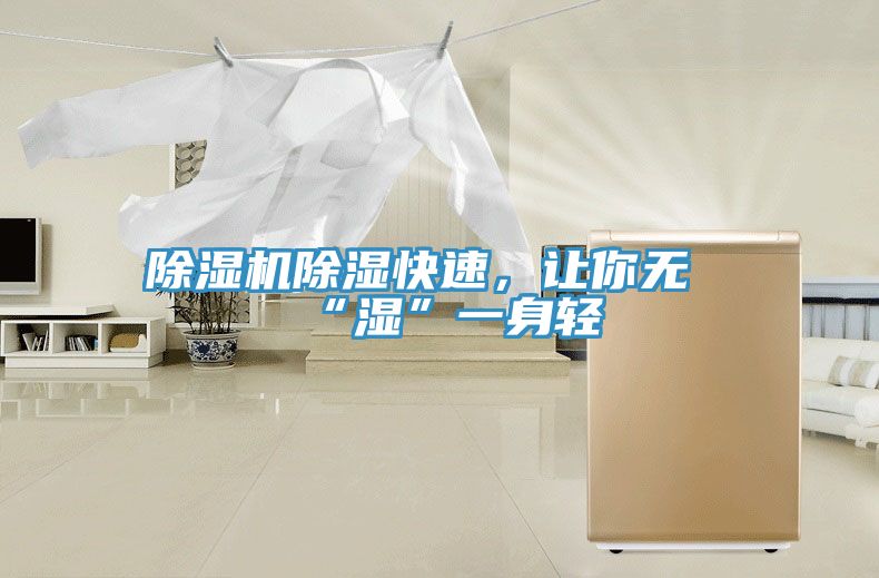 除濕機(jī)除濕快速，讓你無(wú)“濕”一身輕
