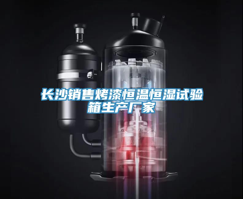 長(zhǎng)沙銷(xiāo)售烤漆恒溫恒濕試驗(yàn)箱生產(chǎn)廠家