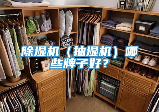 除濕機(jī)（抽濕機(jī)）哪些牌子好？