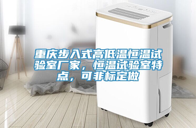 重慶步入式高低溫恒溫試驗(yàn)室廠家，恒溫試驗(yàn)室特點(diǎn)，可非標(biāo)定做
