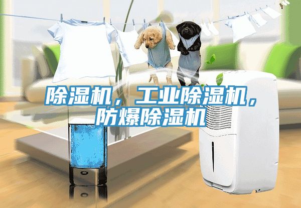 除濕機，工業(yè)除濕機，防爆除濕機