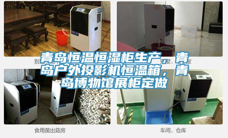 青島恒溫恒濕柜生產(chǎn)，青島戶外投影機(jī)恒溫箱，青島博物館展柜定做
