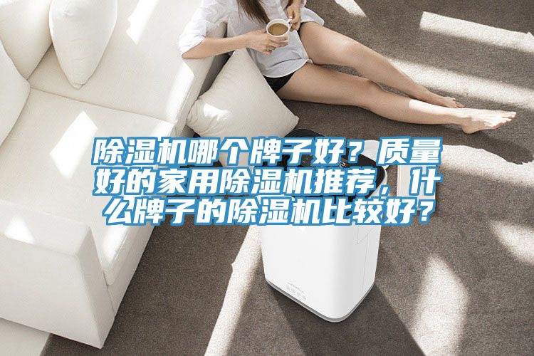 除濕機(jī)哪個(gè)牌子好？質(zhì)量好的家用除濕機(jī)推薦，什么牌子的除濕機(jī)比較好？
